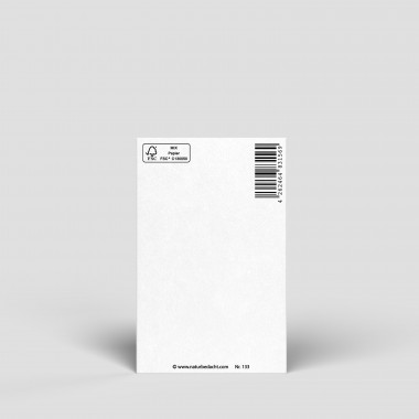 Midikarte - Buchstabe V - Nr. 183 -Naturbedacht