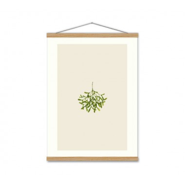 Kunstdruck Mistelzweig - SANS. Kunstdruck Mistelzweig - SANS.