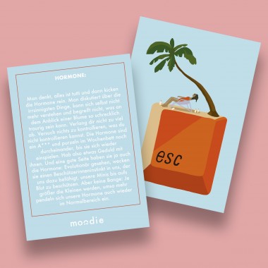 Wochenbett Empowerment Cards von moodie