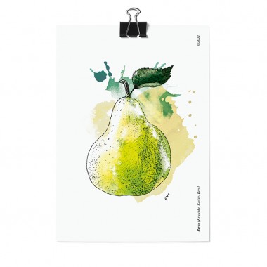 Postkartenset, 16 Obst und Gemüse Postkarten von Kupferstecher.Art