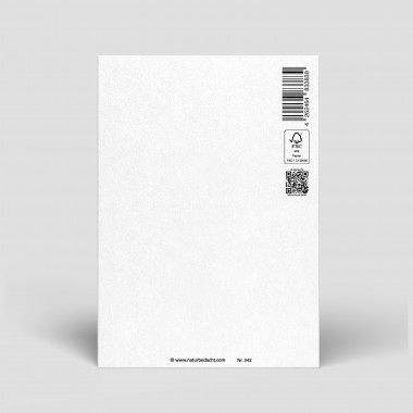 Postkarte Weihnachten - Auto  - Nr. 7 - Naturbedacht