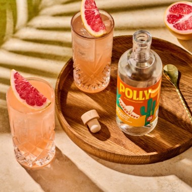 POLLY Mexican Classic 500 ml – Alkoholfreie Alternative inspiriert von Tequila