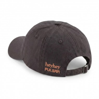 PSR B1919+21 Cap hey hey studios x Pulsår