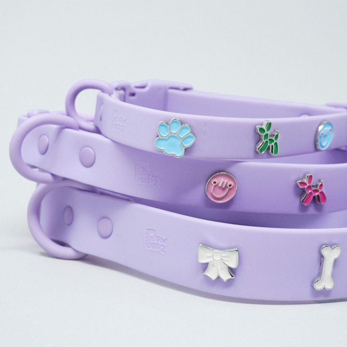 Hundehalsband Outdoor wasserfest Lila - PawPopz