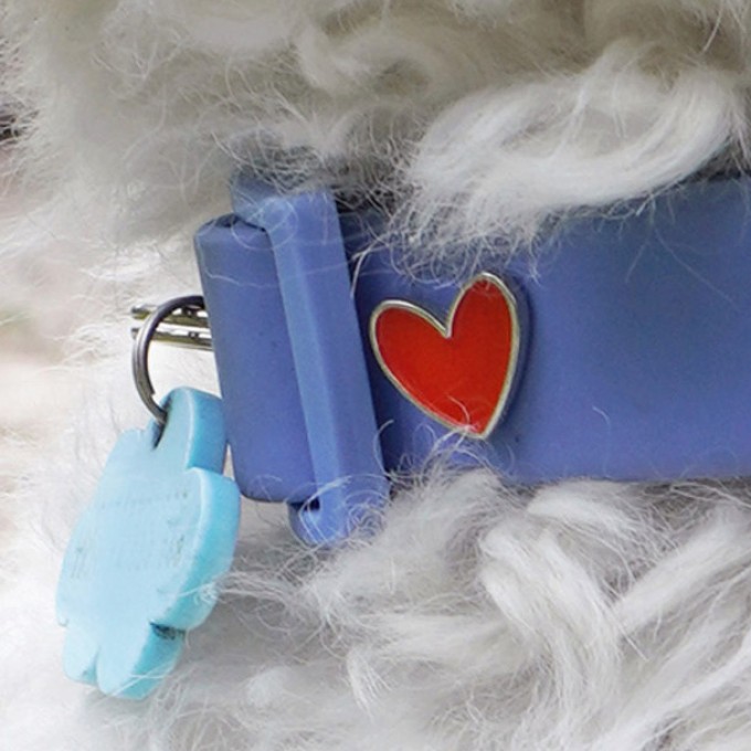 Herz Hundehalsband Anhänger - PawPopz