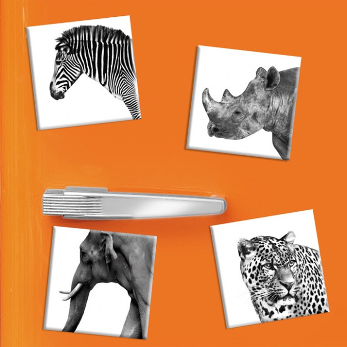COGNOSCO - 4 Kühlschrankmagnete Tiere COGNOSCO - 4 Kühlschrankmagnete Tiere