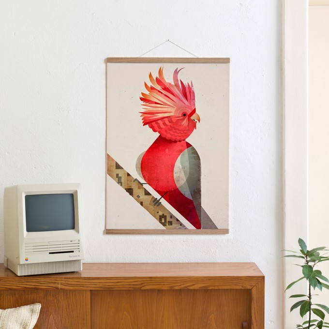 KLEINWAREN / VON LAUFENBERG Set / Galah Cockatoo + Magnetische Posterleiste Eiche 50 cm KLEINWAREN / VON LAUFENBERG Set / Galah Cockatoo + Magnetische Posterleiste Eiche 50 cm