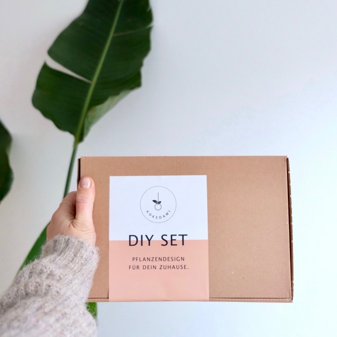 Kokedami DIY Set ohne Pflanze Kokedami DIY Set ohne Pflanze