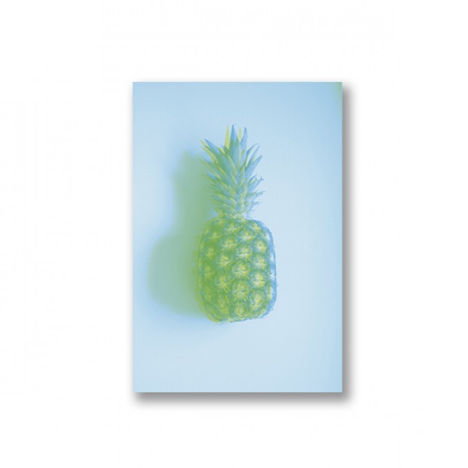 ZEITLOOPS "Ananas, Risograph", Fineartprint, 40x60cm