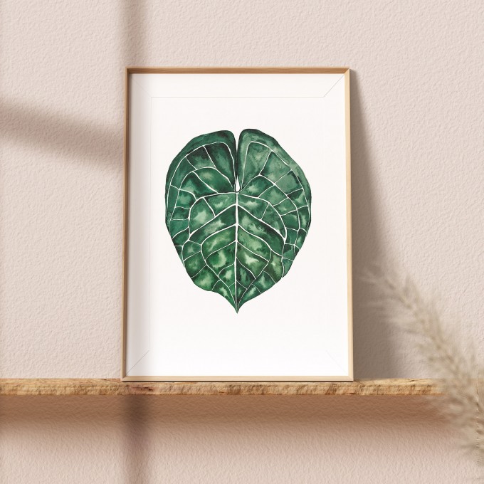 Paperlandscape | Aquarell Kunstdruck "Anthurium Clarinervium" | Pflanze | Palmblatt |verschiedene Größen Paperlandscape | Aquarell Kunstdruck "Anthurium Clarinervium" | Pflanze | Palmblatt |verschiedene Größen