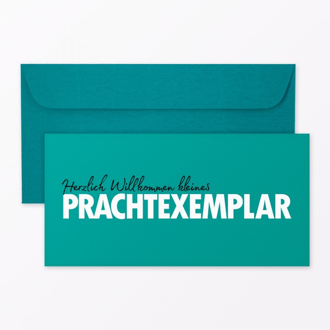 Typop 2 Teiliges Set Design Babykarte Willkommen Prachtexemplar