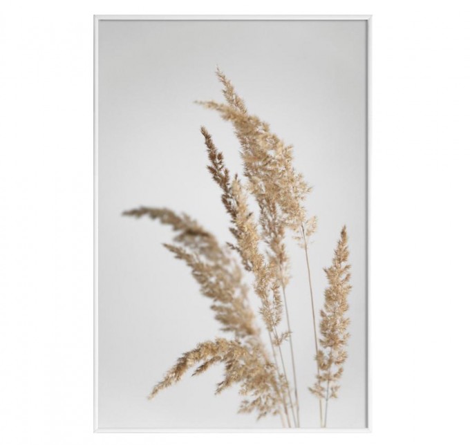nahili ARTPRINT / POSTER "golden PAMPAS grass" Natur -Fotografie (DIN A1/A3 & 50x70cm)