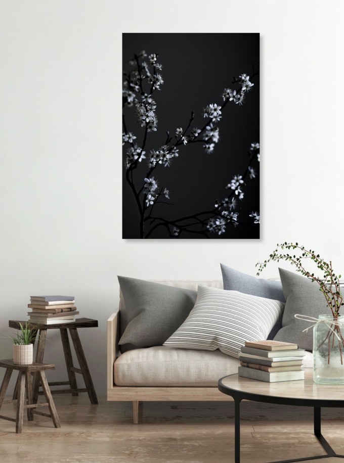nahili ARTPRINT / POSTER "moody flower BEAUTY" schwarzer Kirsch-Blüten Druck (DIN A1/A3 & 50x70cm) Fotografie nahili ARTPRINT / POSTER "moody flower BEAUTY" schwarzer Kirsch-Blüten Druck (DIN A1/A3 & 50x70cm) Fotografie