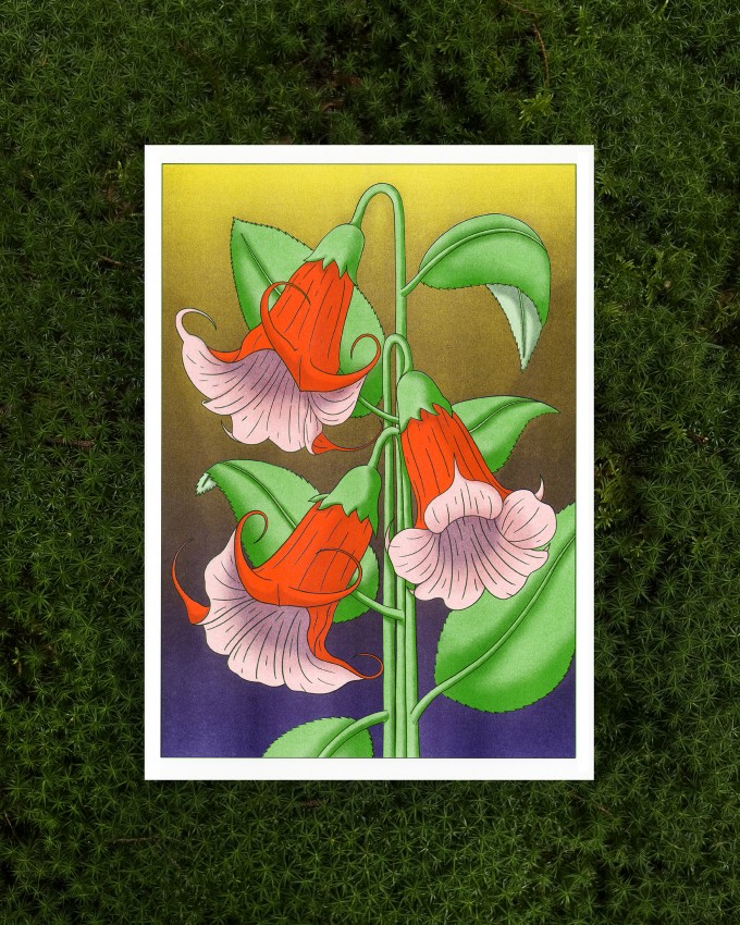 The Naughty District - handgefertigter Risographie Print »Brugmansia«