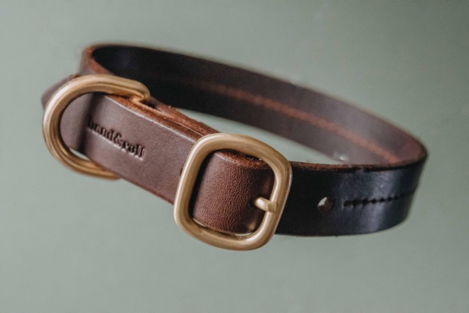 band&roll – Hundehalsband aus Leder in dunkelbraun, mit Liebe kreiert in unserem Familienstudio in Berlin band&roll – Hundehalsband aus Leder in dunkelbraun, mit Liebe kreiert in unserem Familienstudio in Berlin