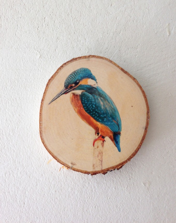 madeva Holzliebe Astscheibe Eisvogel madeva Holzliebe Astscheibe Eisvogel