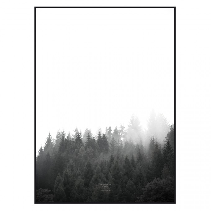 na.hili walk through the FOREST - A1 Artprint - Poster na.hili walk through the FOREST - A1 Artprint - Poster