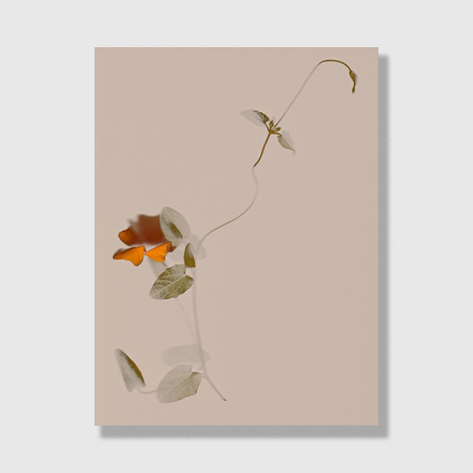 ZEITLOOPS "Floralis II", Posterprint 30x40 cm
