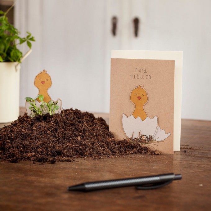 DieStadtgärtner | Karte zur Geburt | Klappkarte Küken "Hurra, du bist da!" mit Umschlag | Saatstecker mit Wildblumensamen | Blumen & Grußkarte in einem DieStadtgärtner | Karte zur Geburt | Klappkarte Küken "Hurra, du bist da!" mit Umschlag | Saatstecker mit Wildblumensamen | Blumen & Grußkarte in einem