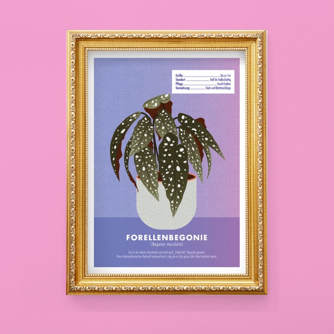 Hey Urban Monkey - A4 Poster - „Begonie Maculata“ Hey Urban Monkey - A4 Poster - „Begonie Maculata“