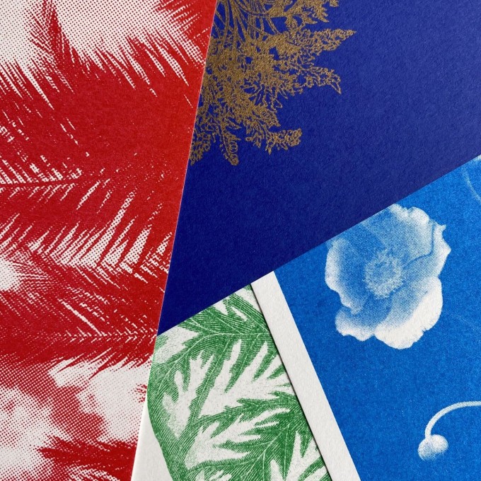 Risographie Postkarten – WUNDERTÜTE FLORAL
– HERR & FRAU RIO Risographie Postkarten – WUNDERTÜTE FLORAL
– HERR & FRAU RIO