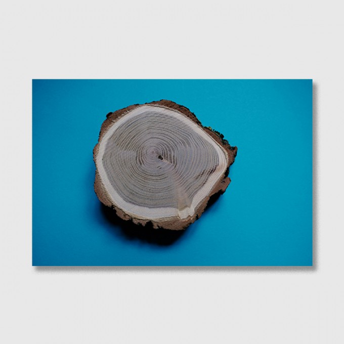 ZEITLOOPS "Jahresringe, blau", Fineartprint 40x60 cm ZEITLOOPS "Jahresringe, blau", Fineartprint 40x60 cm