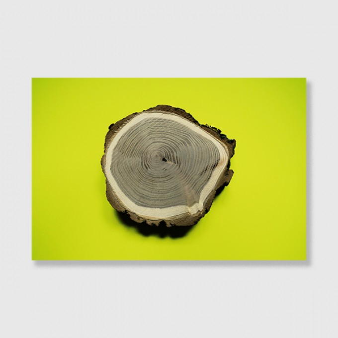 ZEITLOOPS "Jahresringe, gelb", Fineartprint 40x60cm ZEITLOOPS "Jahresringe, gelb", Fineartprint 40x60cm