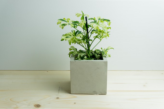 Klunkergrau Interior | Eckiger Übertopf / Behälter aus Beton Klunkergrau Interior | Eckiger Übertopf / Behälter aus Beton