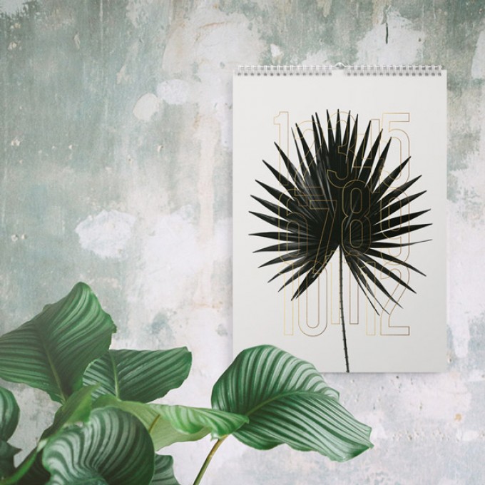 Wandkalender / Plants 2019 Wandkalender / Plants 2019