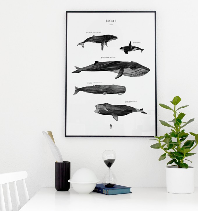 Coco Lapine Design Kētos Coco Lapine Design Kētos