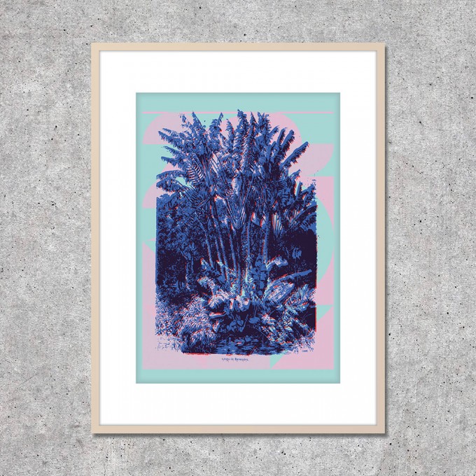 Look at me! Fine Art Print "Curaçao" (DIN A2) Look at me! Fine Art Print "Curaçao" (DIN A2)