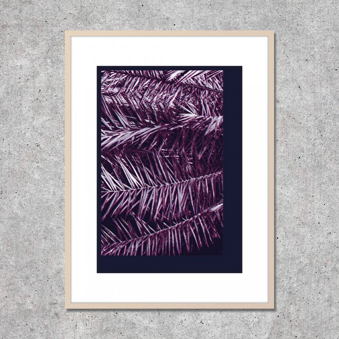Look at me! Fine Art Print "Behind the palmtrees" (DIN A2) Look at me! Fine Art Print "Behind the palmtrees" (DIN A2)