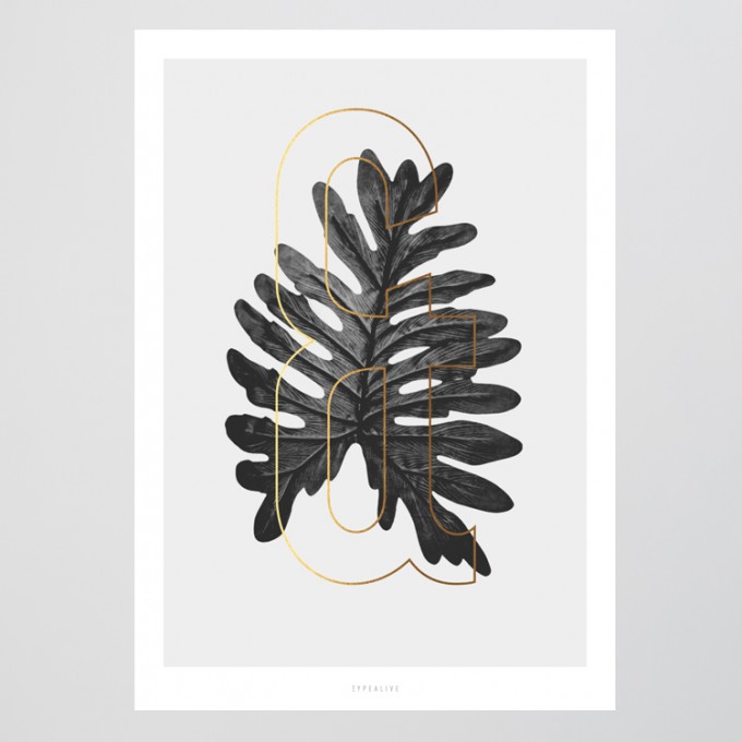 typealive / ABC Plants - & typealive / ABC Plants - &