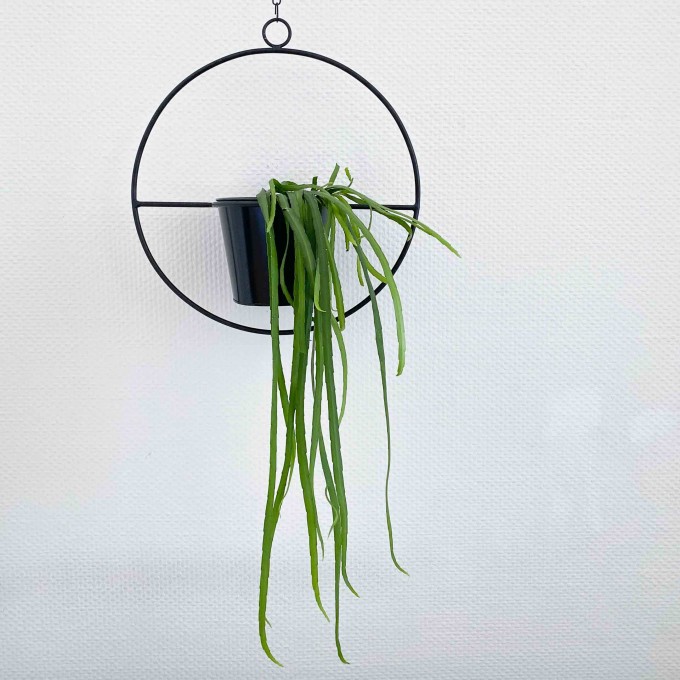 adorist - Hängetopf, Dekoring mit Blumentopf "Hanging Garden" Rund, schwarz adorist - Hängetopf, Dekoring mit Blumentopf "Hanging Garden" Rund, schwarz