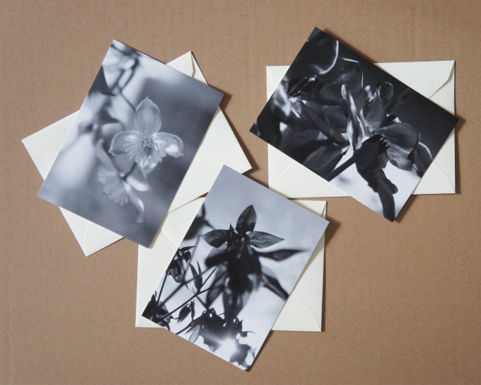 Anna-Katharina Ledwa Postcards Black And White Anna-Katharina Ledwa Postcards Black And White