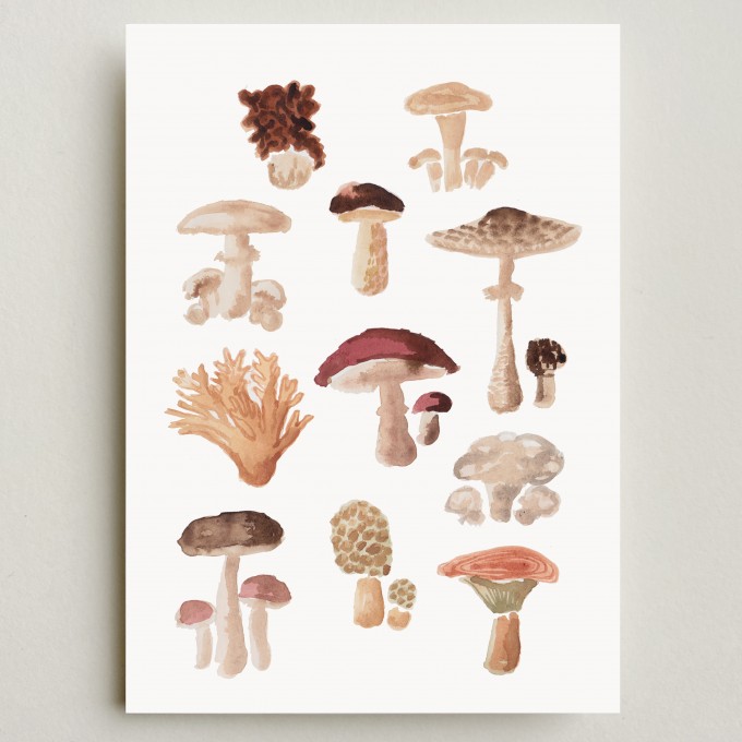 Farina Kuklinski • Poster A4 • Pilze