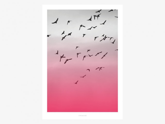 typealive / Birds No. 2
