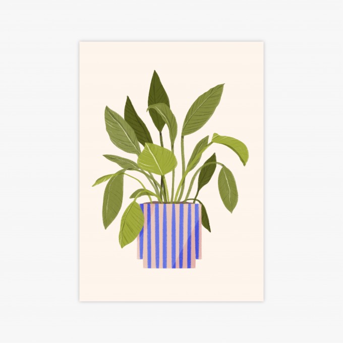 Topfpflanze / Print A4, A5 / Svea Hansohn Illustration