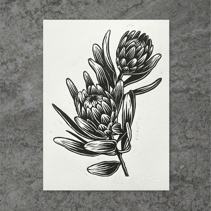 Juliana Fischer - Protea - Linoldruck, schwarz, 22,8 x 30,6 cm