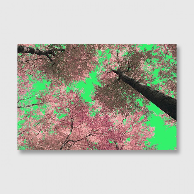 ZEITLOOPS "Trees in love", Posterprint 40x60 cm