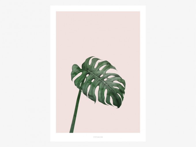 typealive / Tropical No. 7