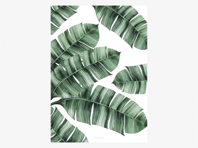 typealive / Tropical No. 8