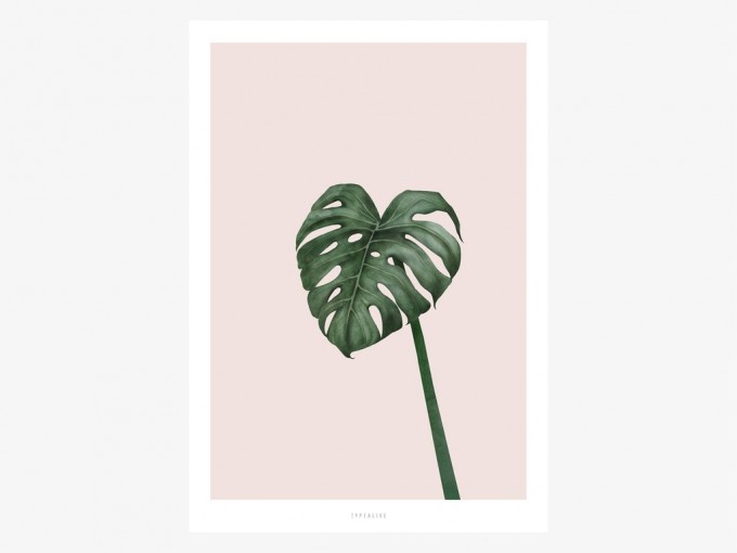 typealive / Tropical No. 10