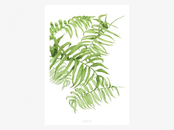 typealive / Tropical No. 1