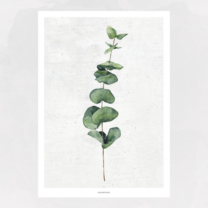 designfeder | Poster Pflanze No.1 designfeder | Poster Pflanze No.1