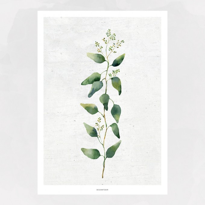 designfeder | Poster Pflanze No.2 designfeder | Poster Pflanze No.2