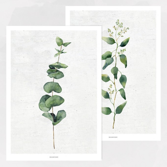 designfeder | Poster Pflanze No.1+2 designfeder | Poster Pflanze No.1+2