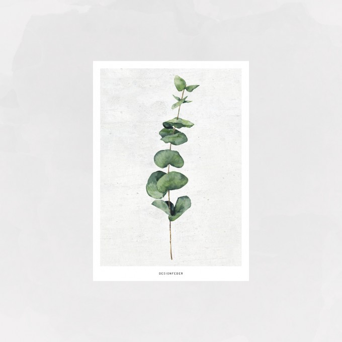 designfeder | Postkarte Pflanze designfeder | Postkarte Pflanze