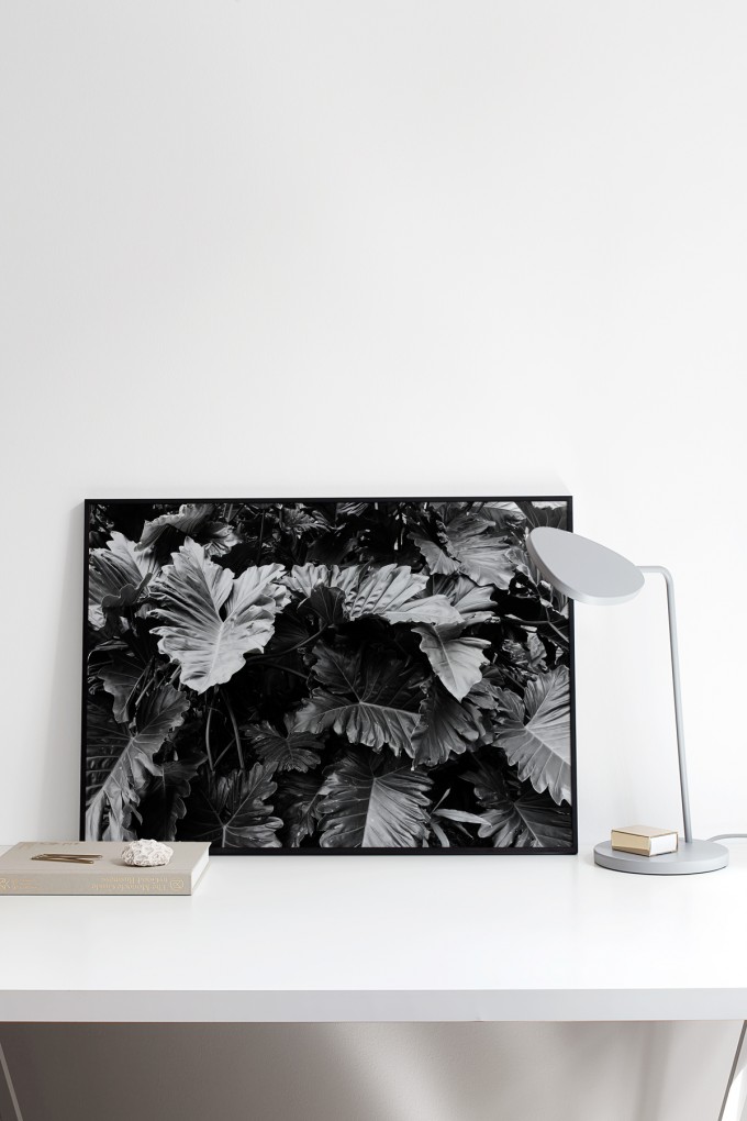 Coco Lapine Design Botanical no. 3 Print Coco Lapine Design Botanical no. 3 Print