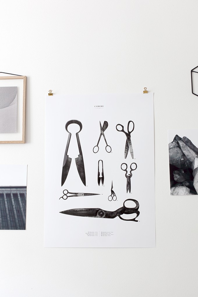 Coco Lapine Design Cædere Print Coco Lapine Design Cædere Print
